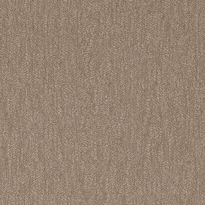 Pebble Camel
