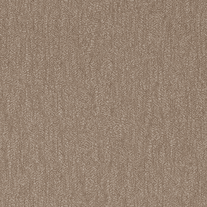 Pebble Camel