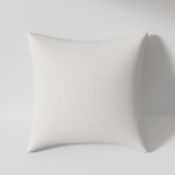 Throw Pillow - Stirling Salt | Stirling Salt, 22x22,